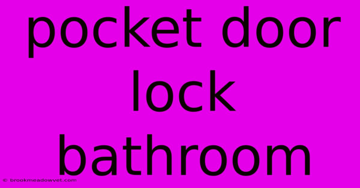 Pocket Door Lock Bathroom