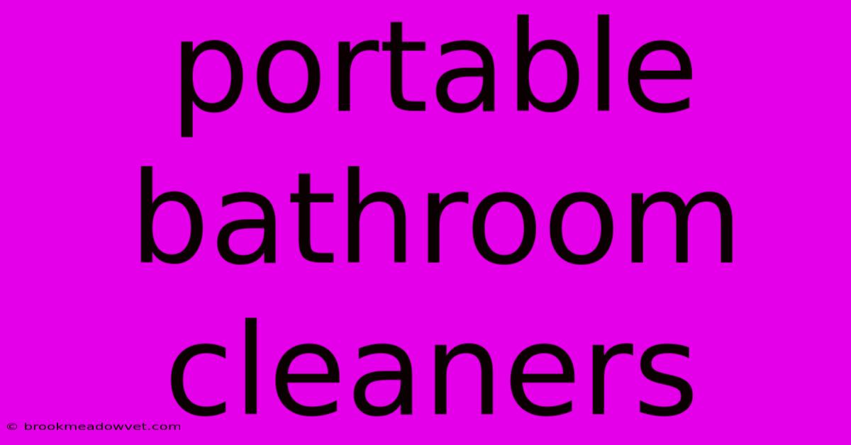 Portable Bathroom Cleaners