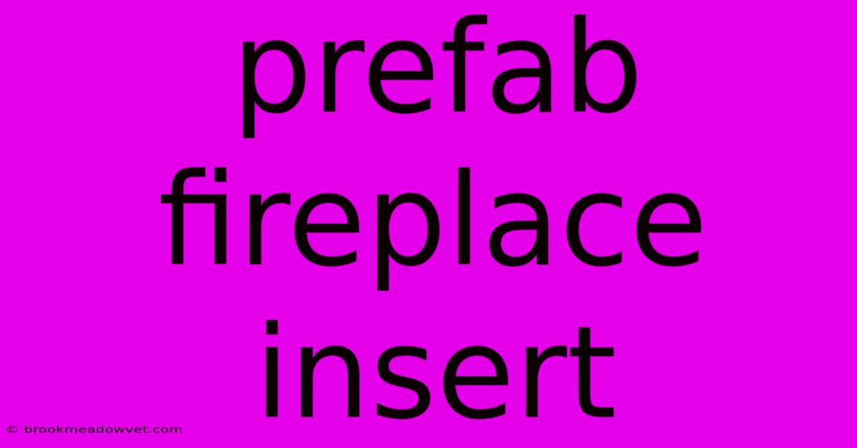 Prefab Fireplace Insert