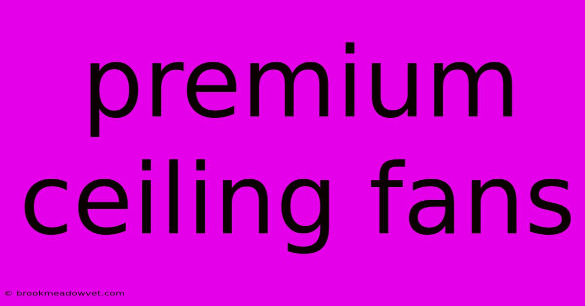 Premium Ceiling Fans