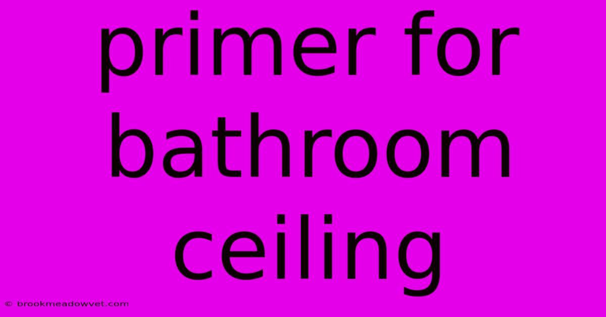 Primer For Bathroom Ceiling