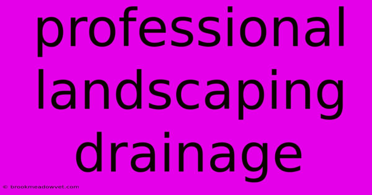 Professional Landscaping Drainage