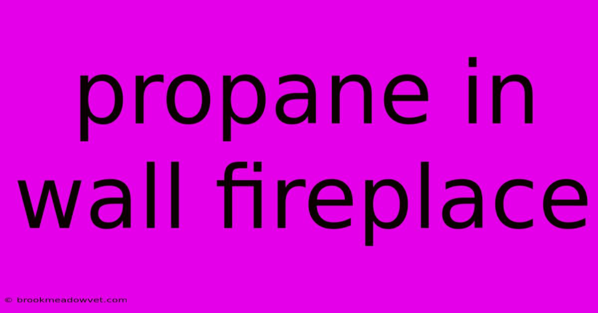 Propane In Wall Fireplace