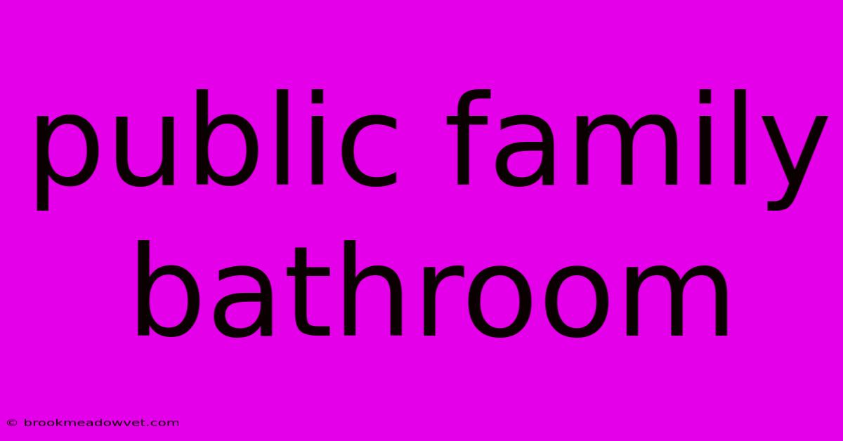 Public Family Bathroom