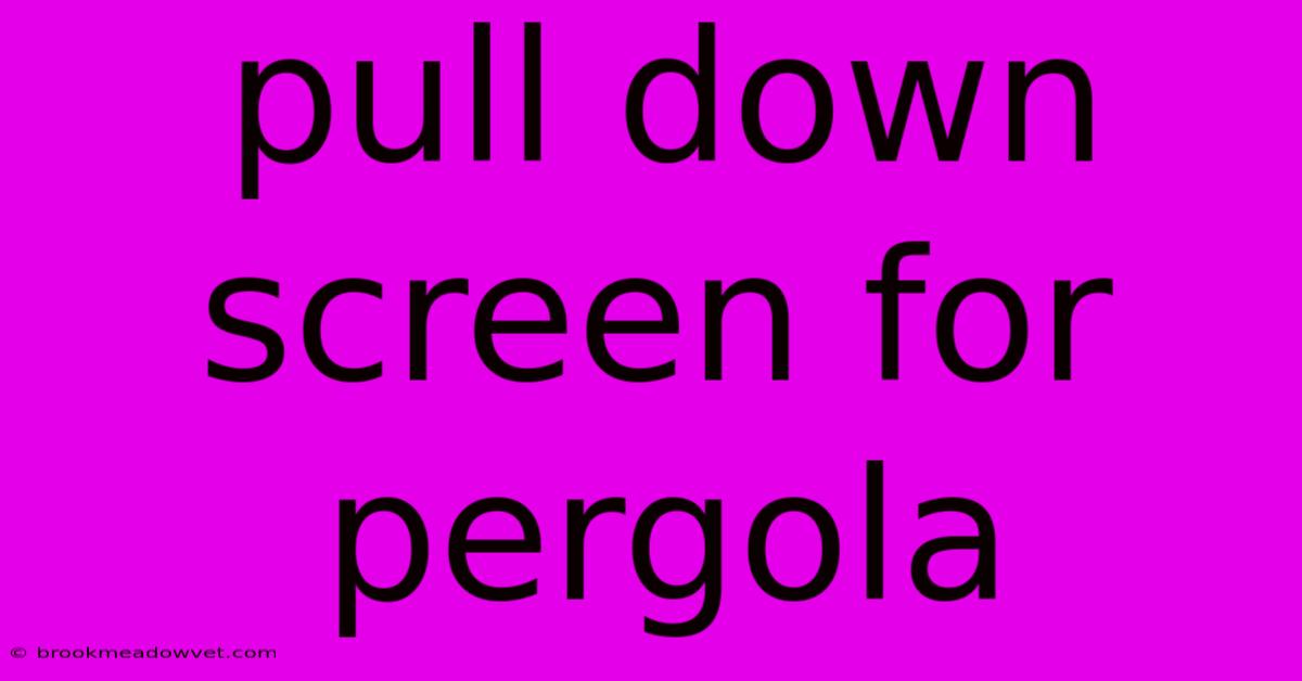 Pull Down Screen For Pergola