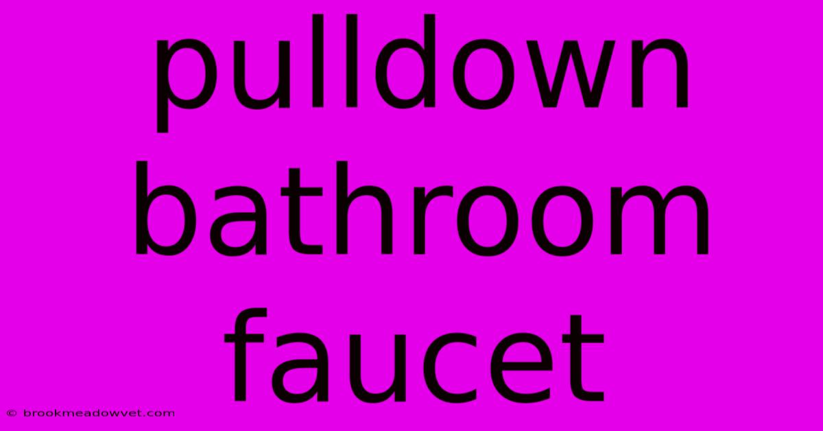 Pulldown Bathroom Faucet