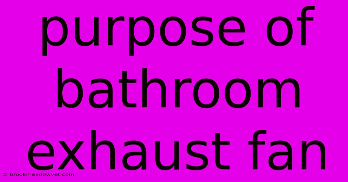 Purpose Of Bathroom Exhaust Fan