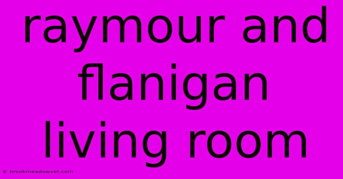 Raymour And Flanigan Living Room