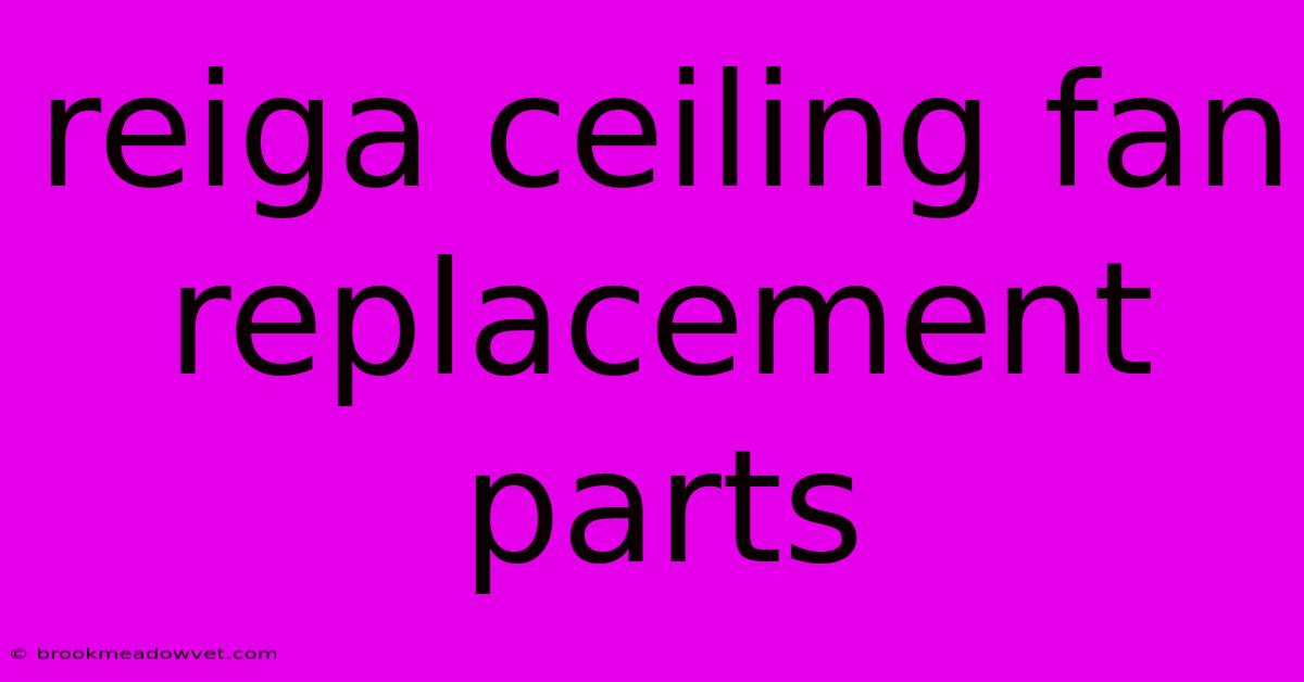 Reiga Ceiling Fan Replacement Parts