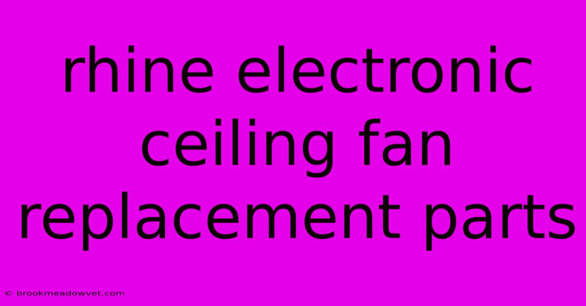 Rhine Electronic Ceiling Fan Replacement Parts