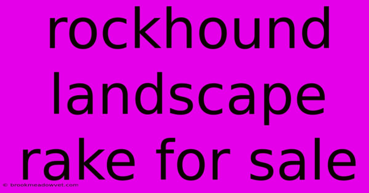 Rockhound Landscape Rake For Sale