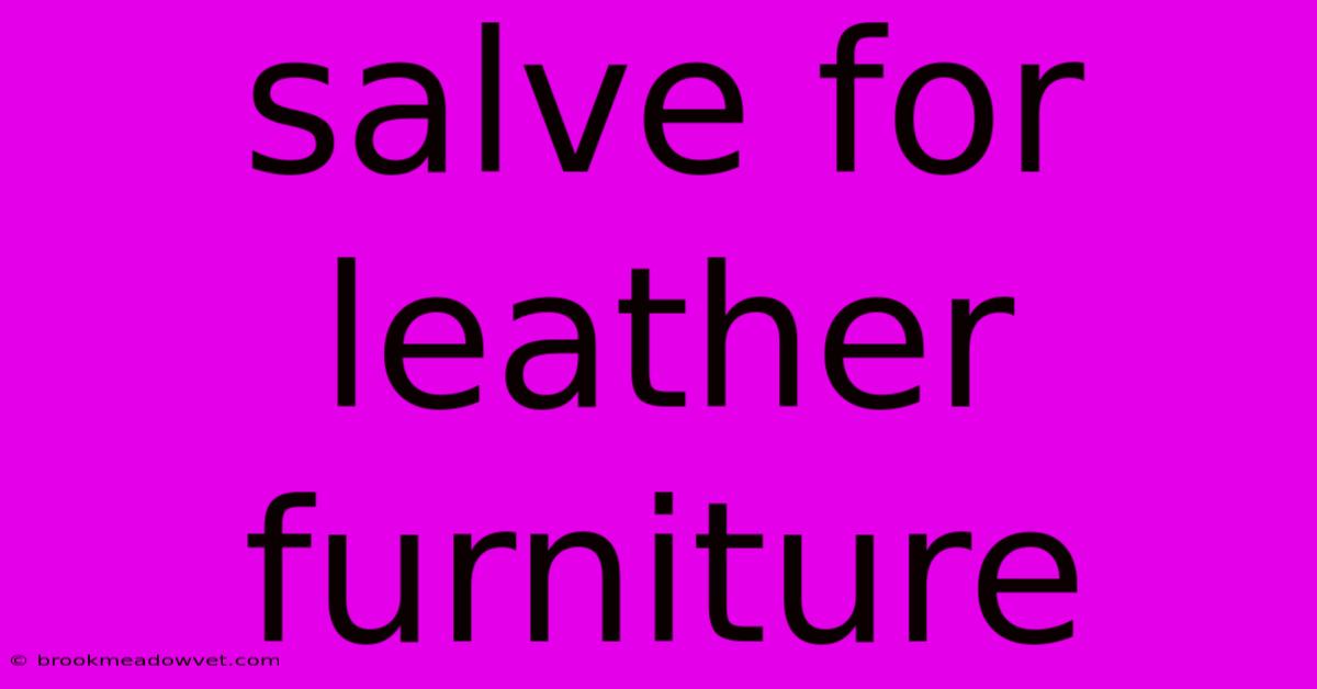 Salve For Leather Furniture