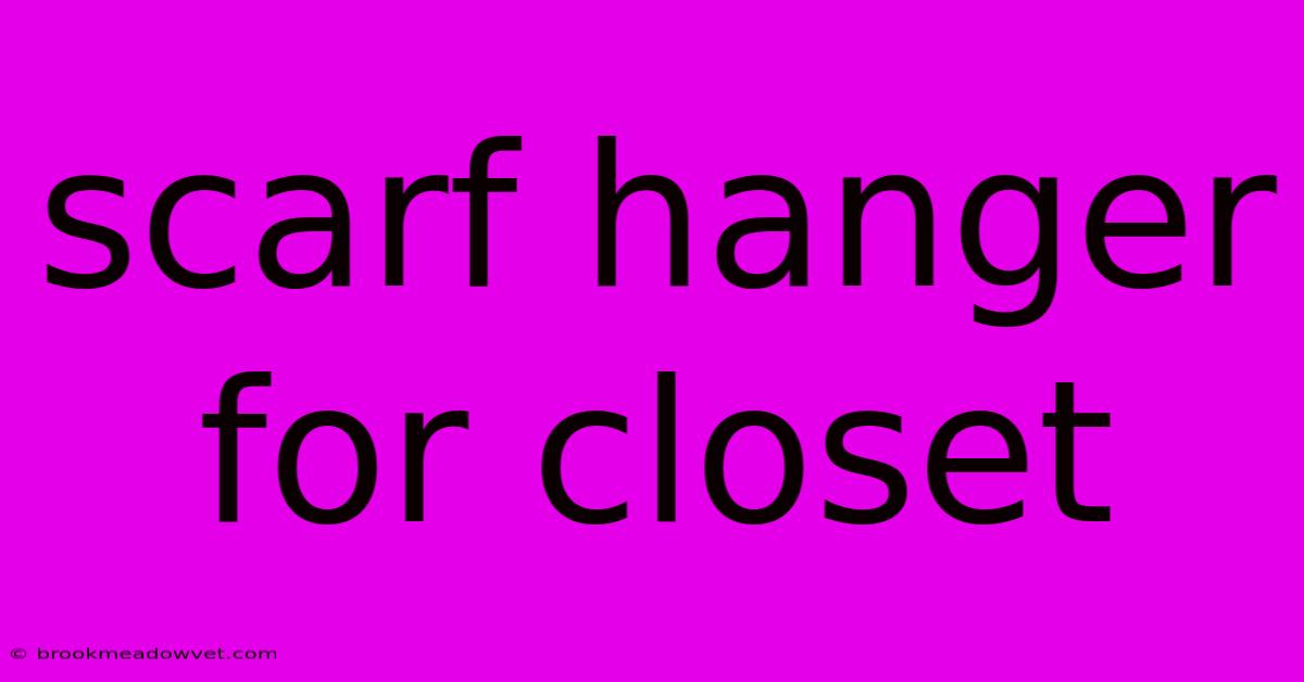 Scarf Hanger For Closet