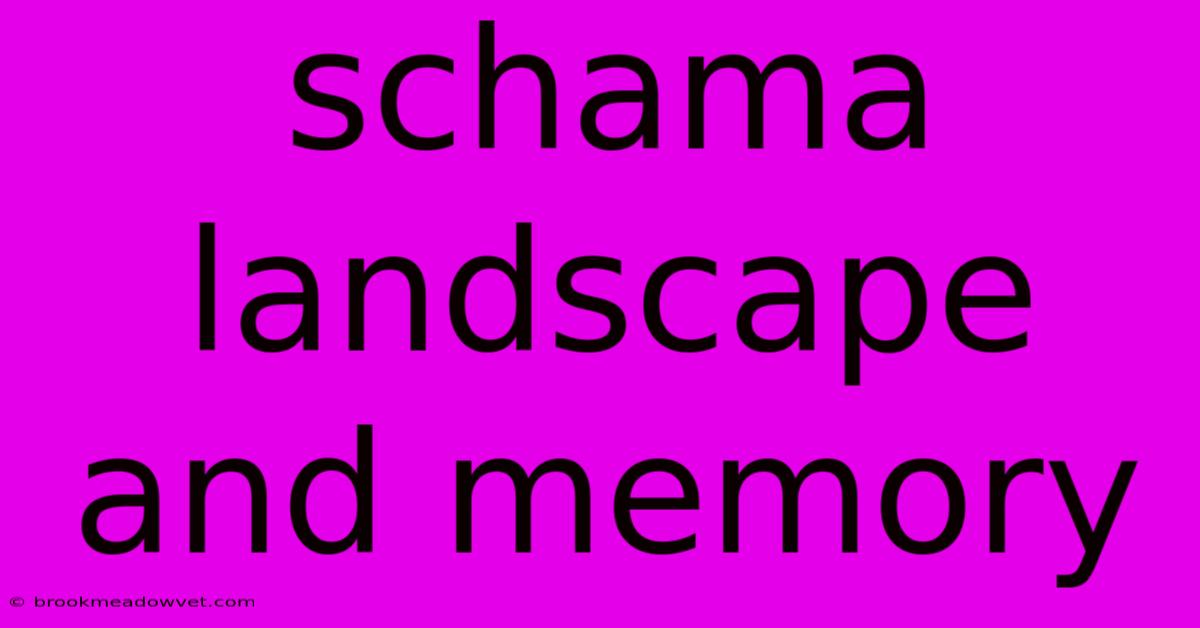 Schama Landscape And Memory