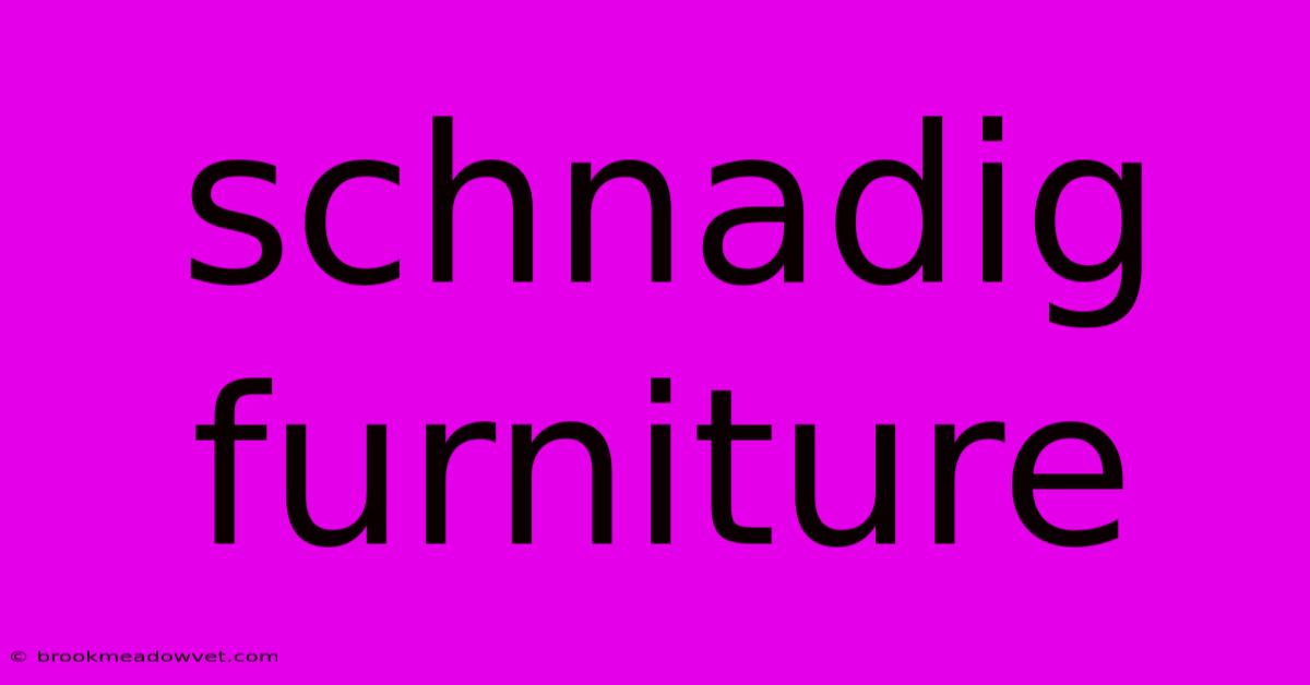 Schnadig Furniture