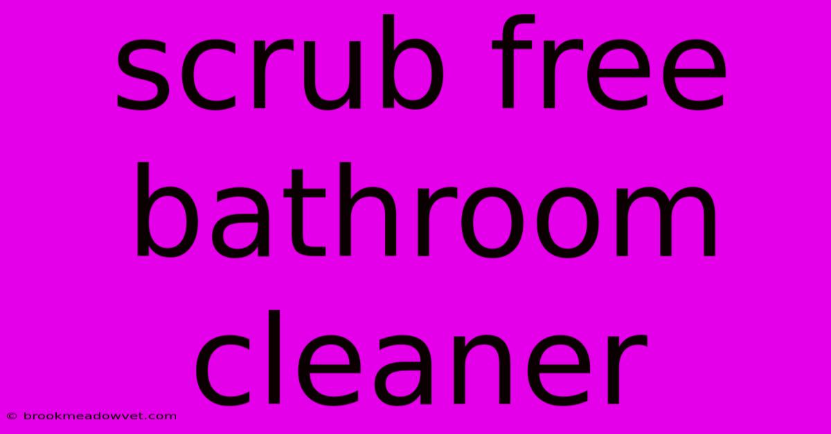 Scrub Free Bathroom Cleaner