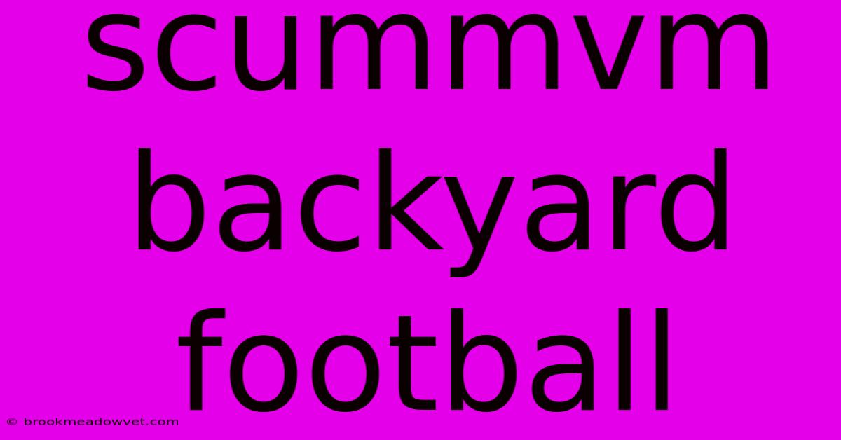 Scummvm Backyard Football