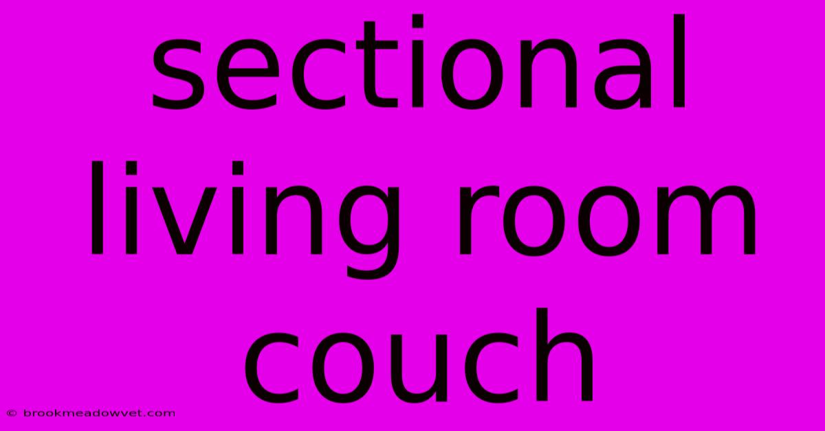 Sectional Living Room Couch