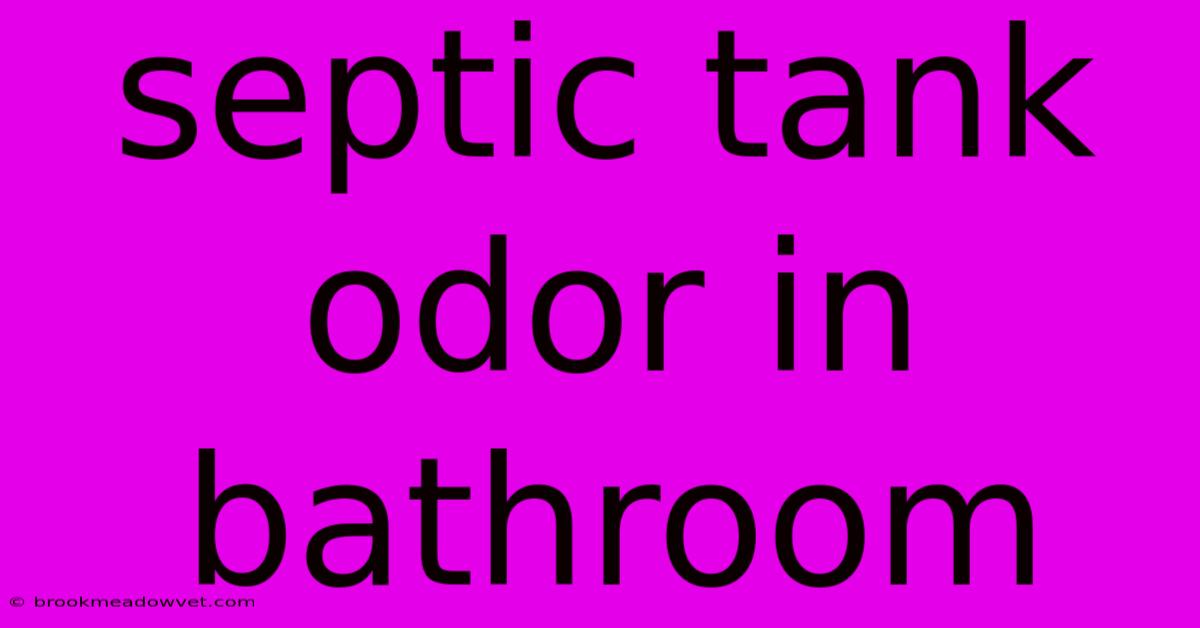 Septic Tank Odor In Bathroom