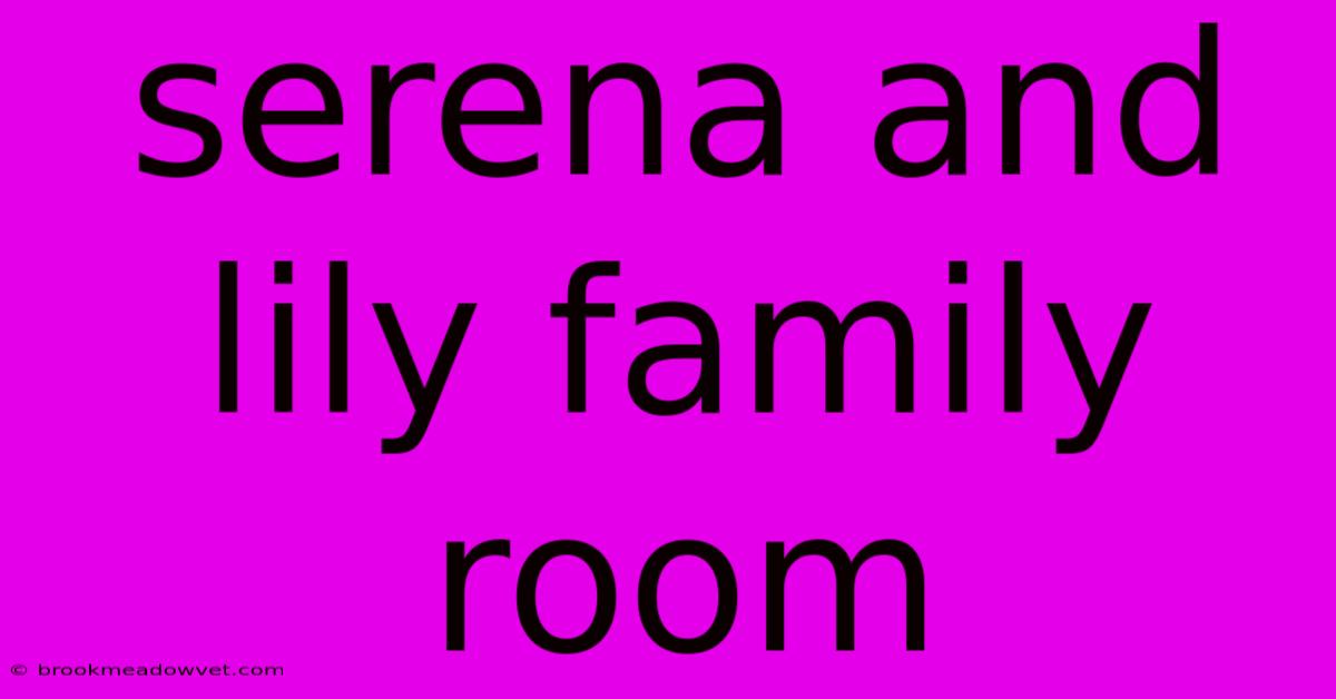 Serena And Lily Family Room