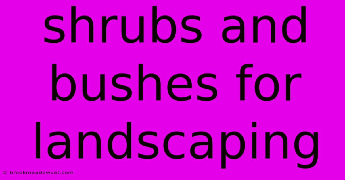 Shrubs And Bushes For Landscaping