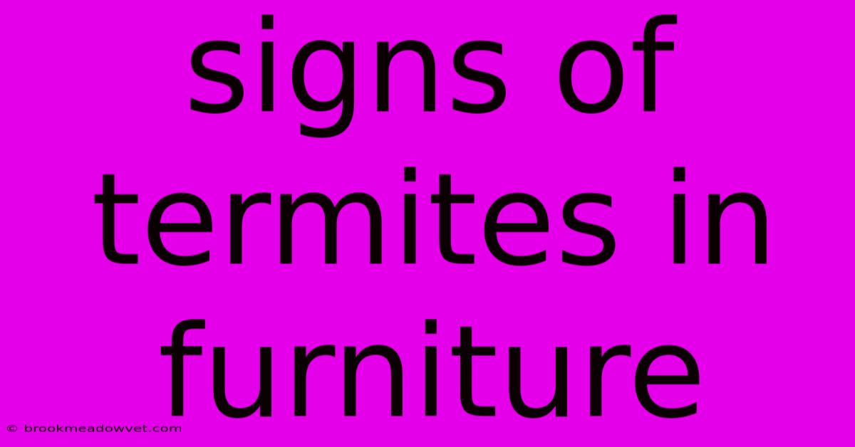 Signs Of Termites In Furniture