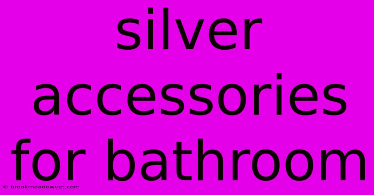 Silver Accessories For Bathroom