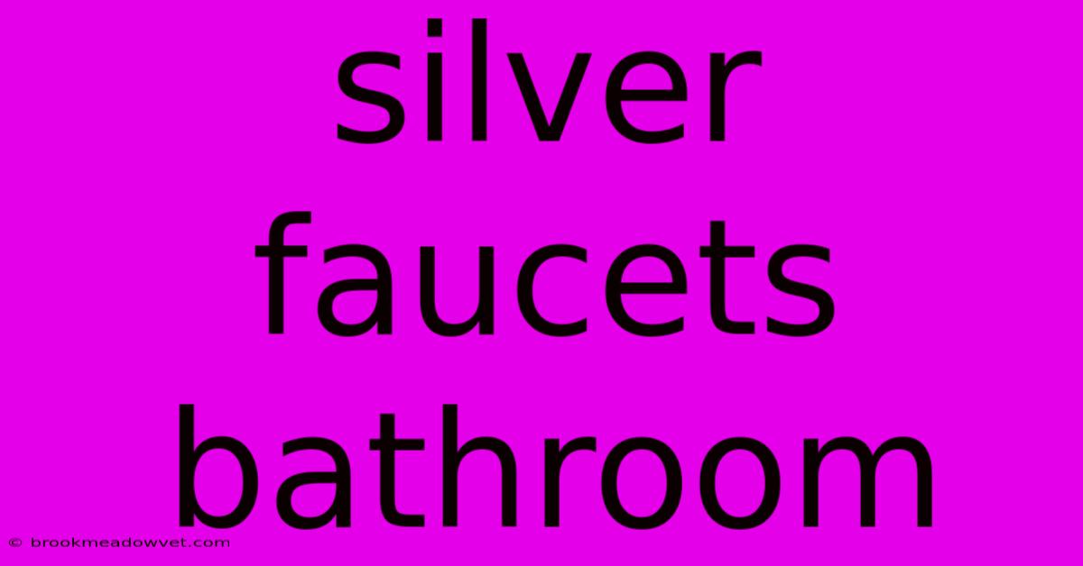 Silver Faucets Bathroom