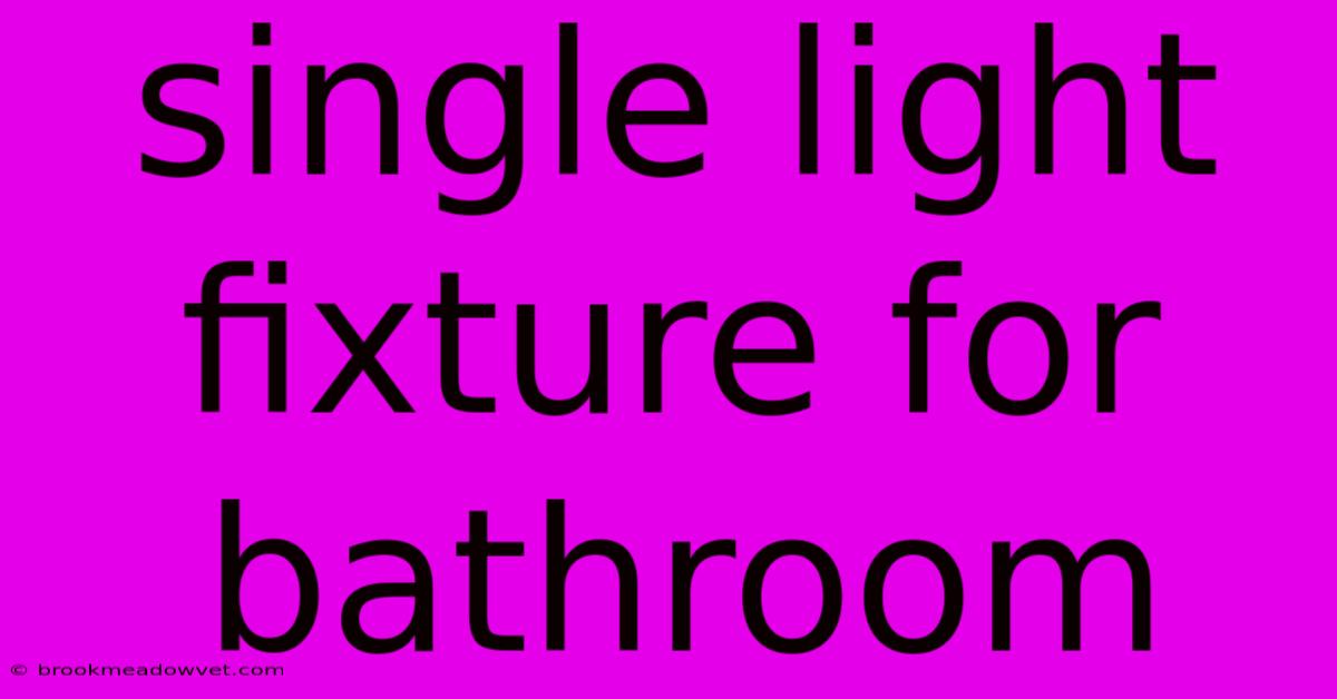 Single Light Fixture For Bathroom