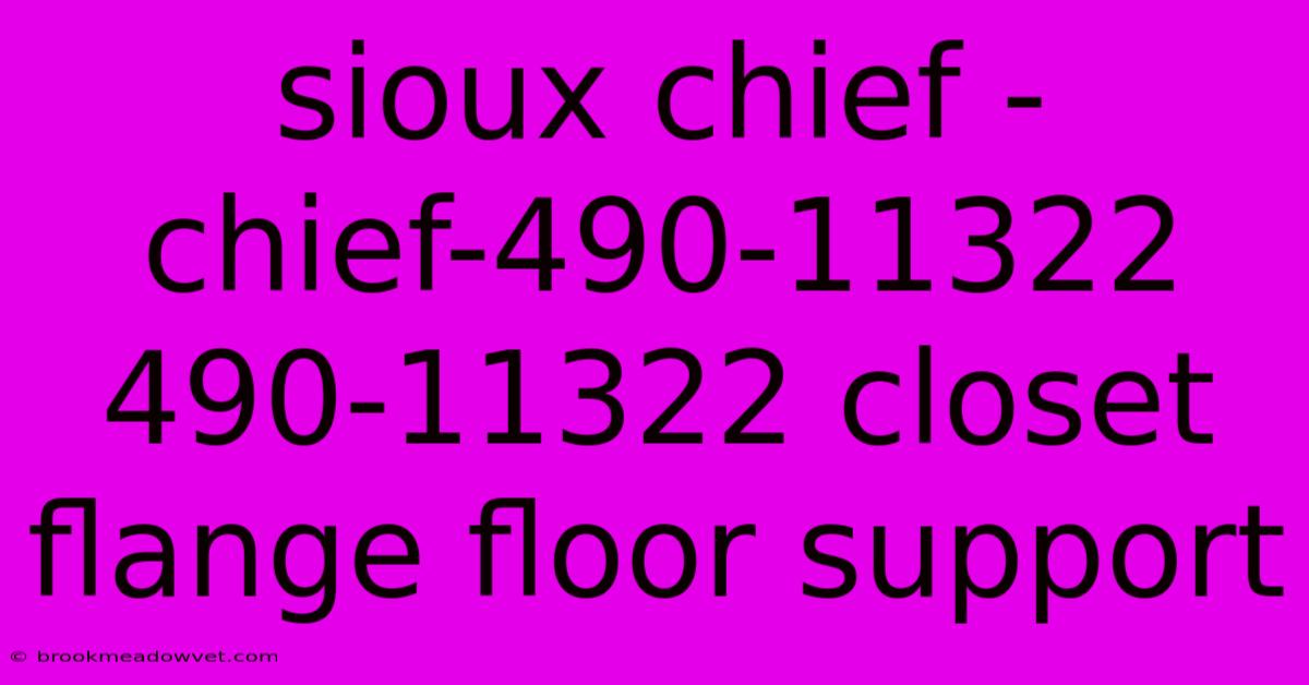 Sioux Chief - Chief-490-11322 490-11322 Closet Flange Floor Support