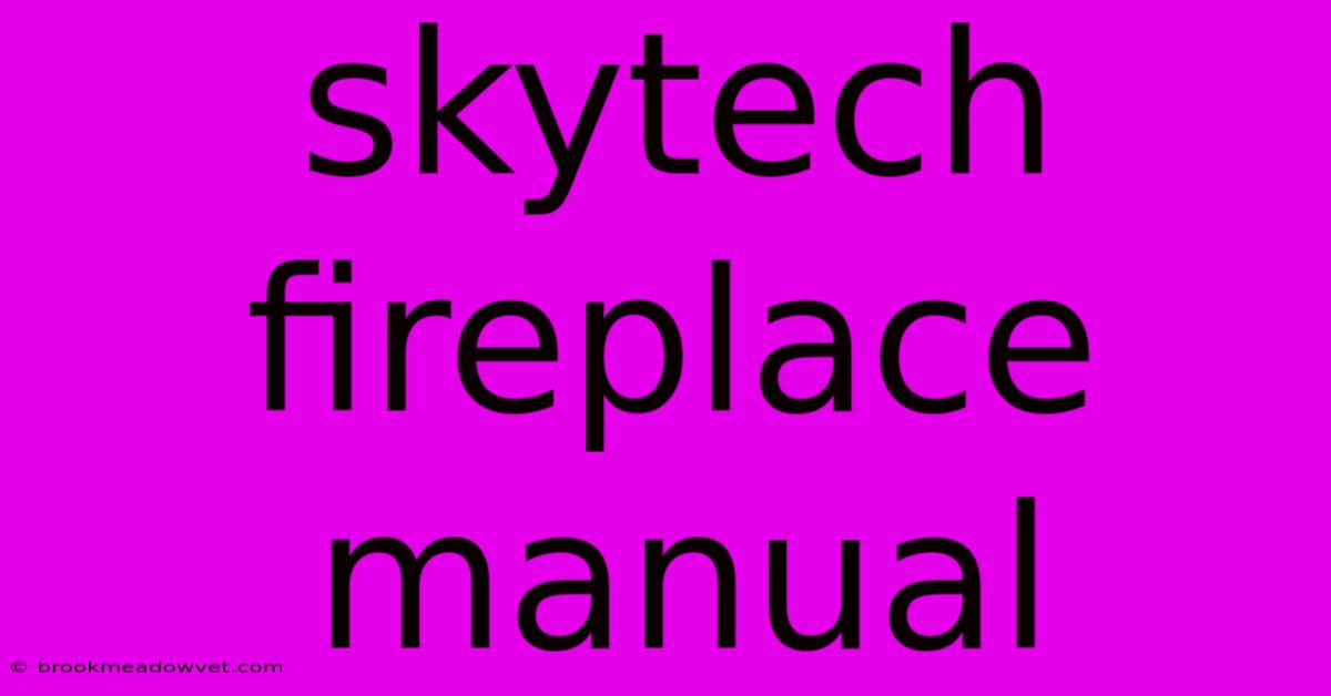 Skytech Fireplace Manual