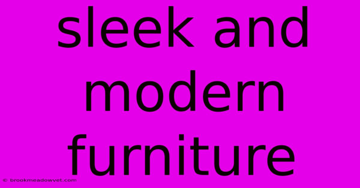 Sleek And Modern Furniture