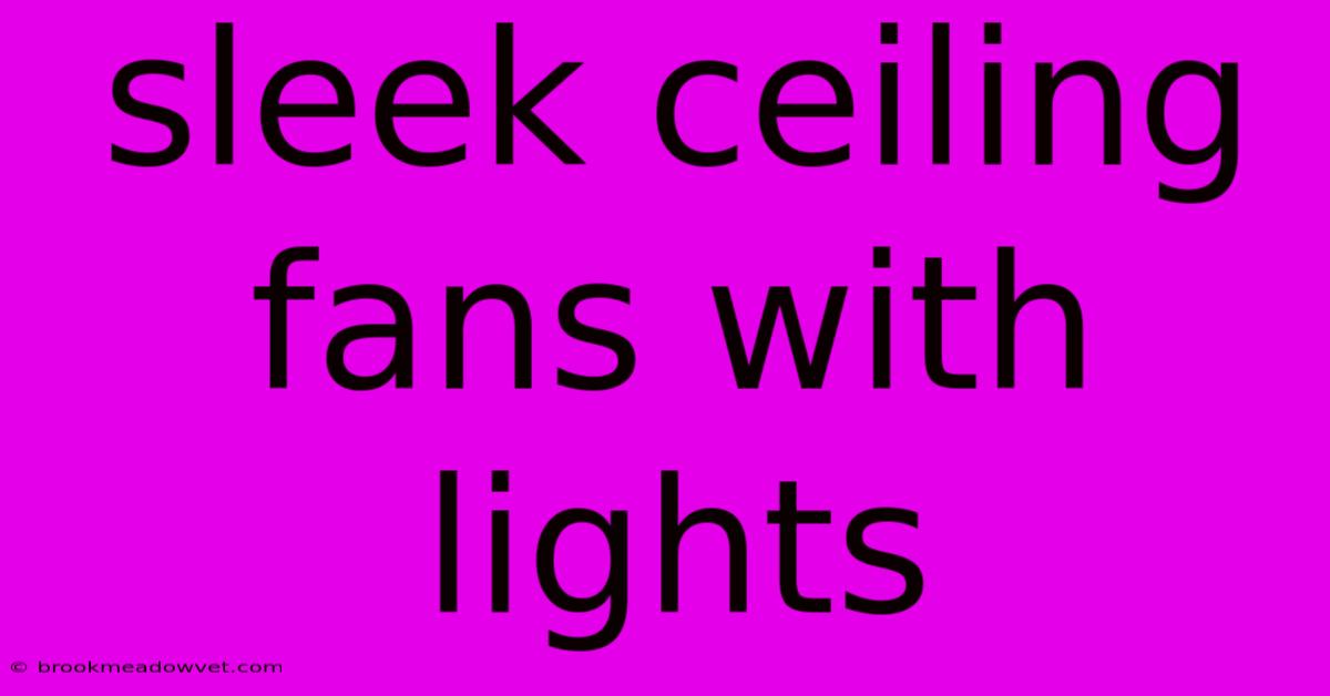 Sleek Ceiling Fans With Lights