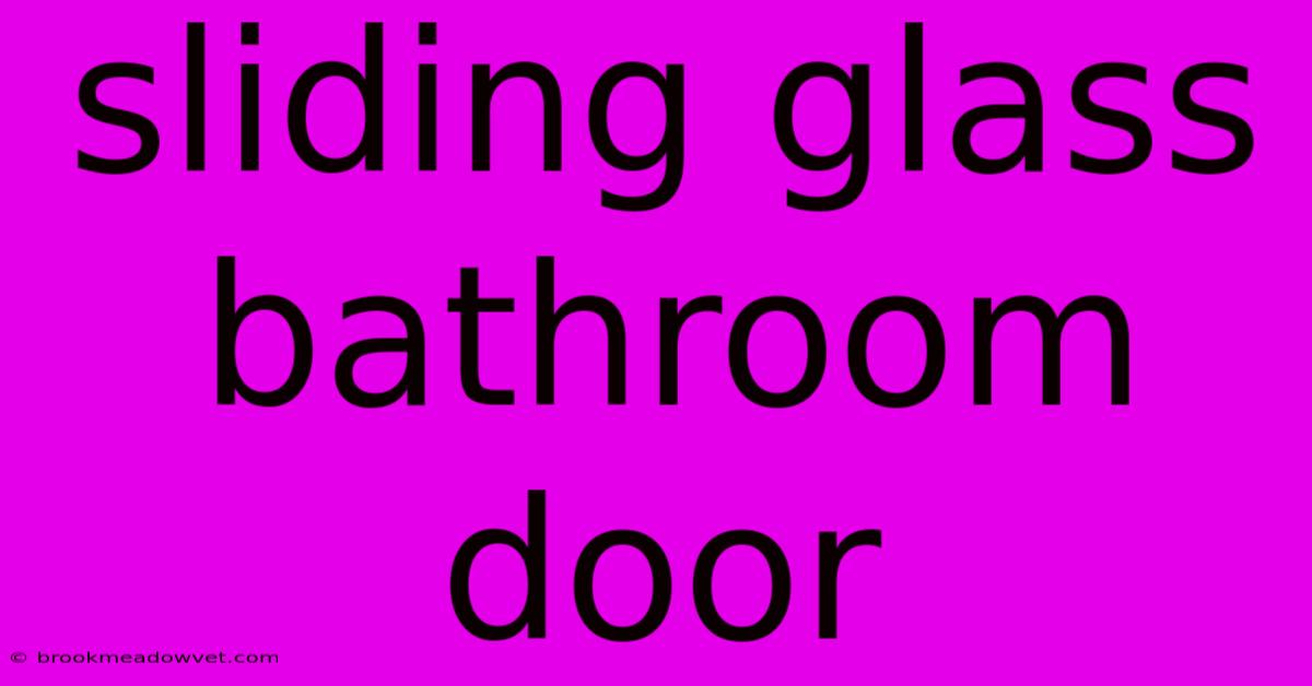 Sliding Glass Bathroom Door