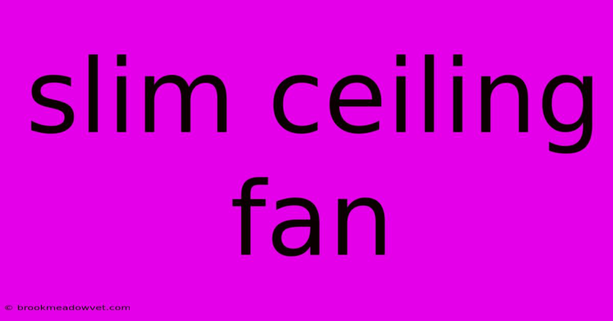 Slim Ceiling Fan