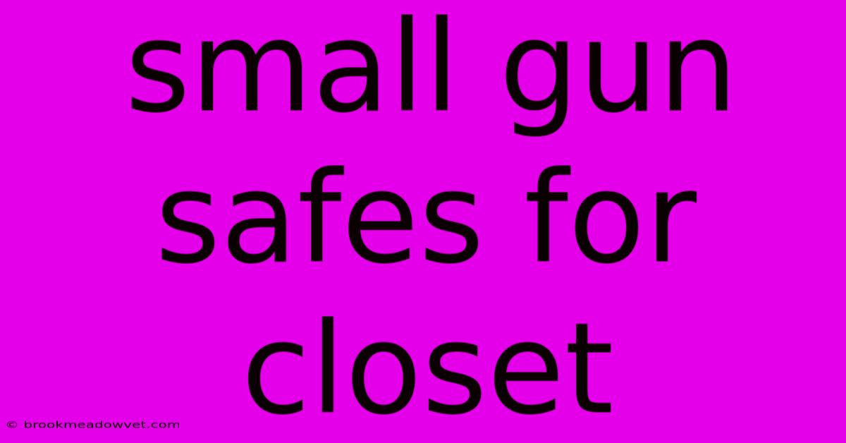 Small Gun Safes For Closet