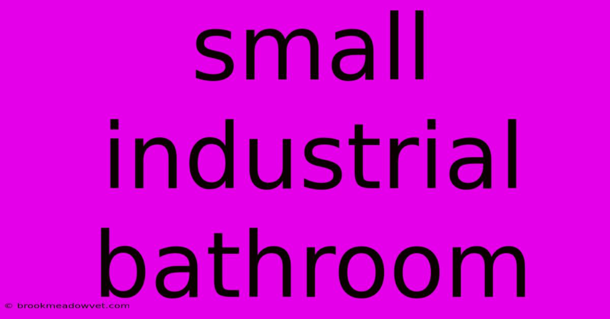 Small Industrial Bathroom