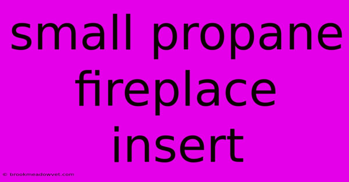 Small Propane Fireplace Insert