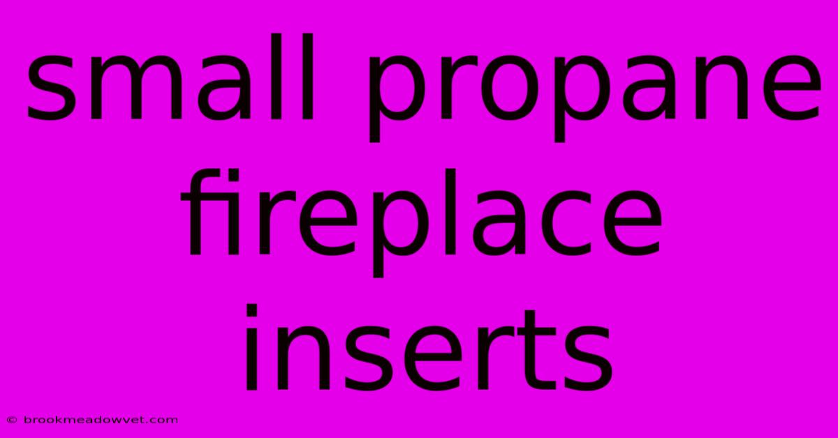 Small Propane Fireplace Inserts