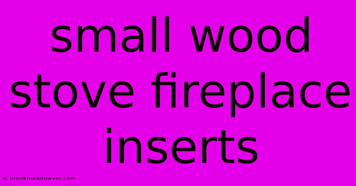 Small Wood Stove Fireplace Inserts