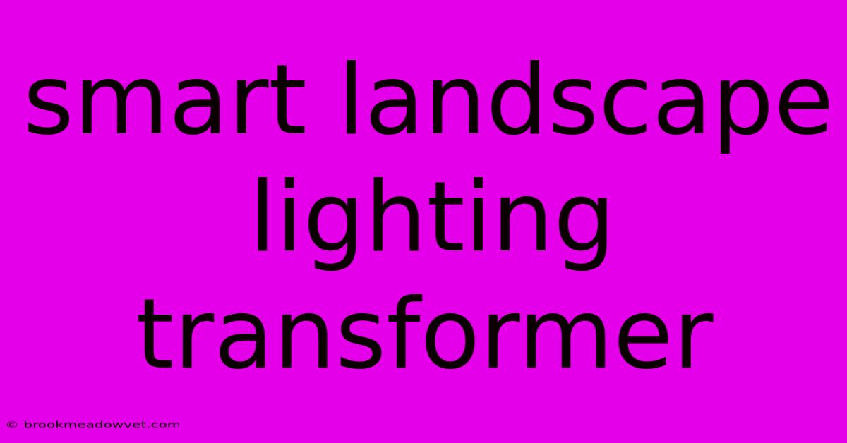 Smart Landscape Lighting Transformer