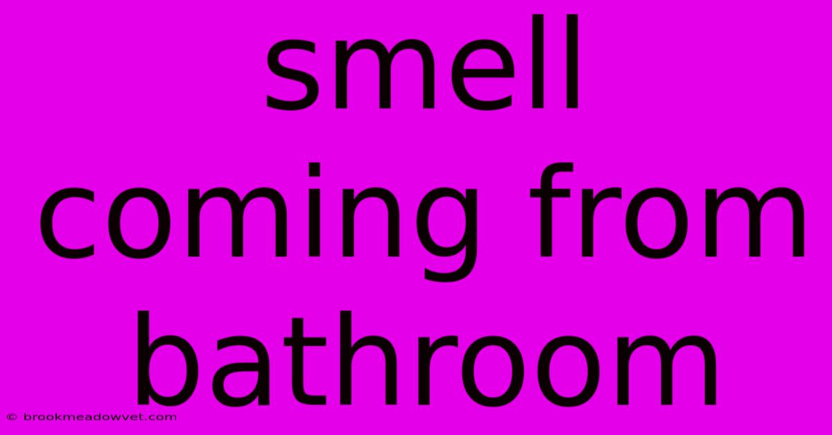 Smell Coming From Bathroom