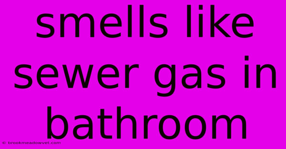 Smells Like Sewer Gas In Bathroom