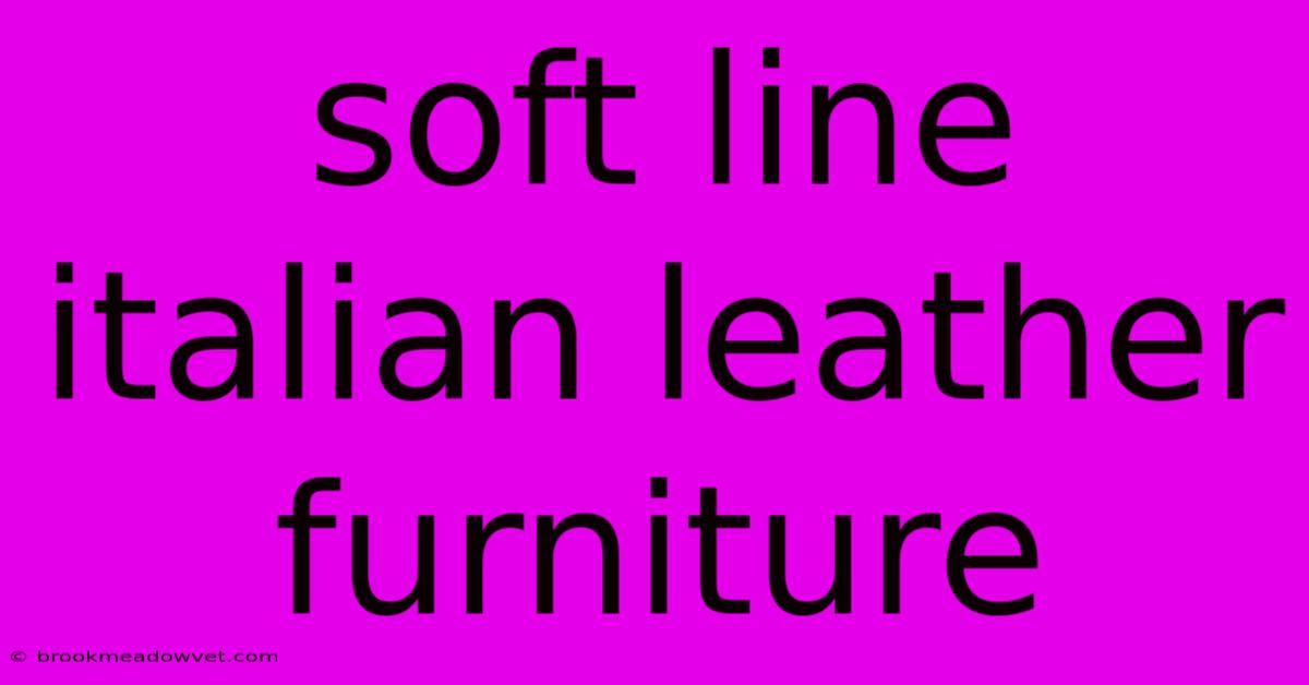 Soft Line Italian Leather Furniture