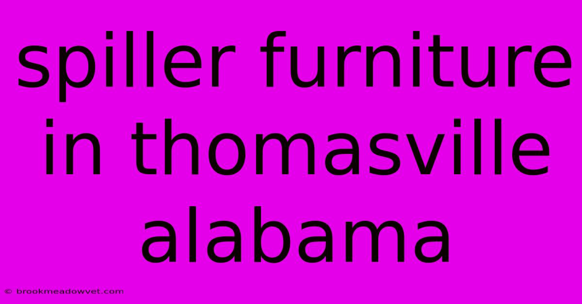 Spiller Furniture In Thomasville Alabama