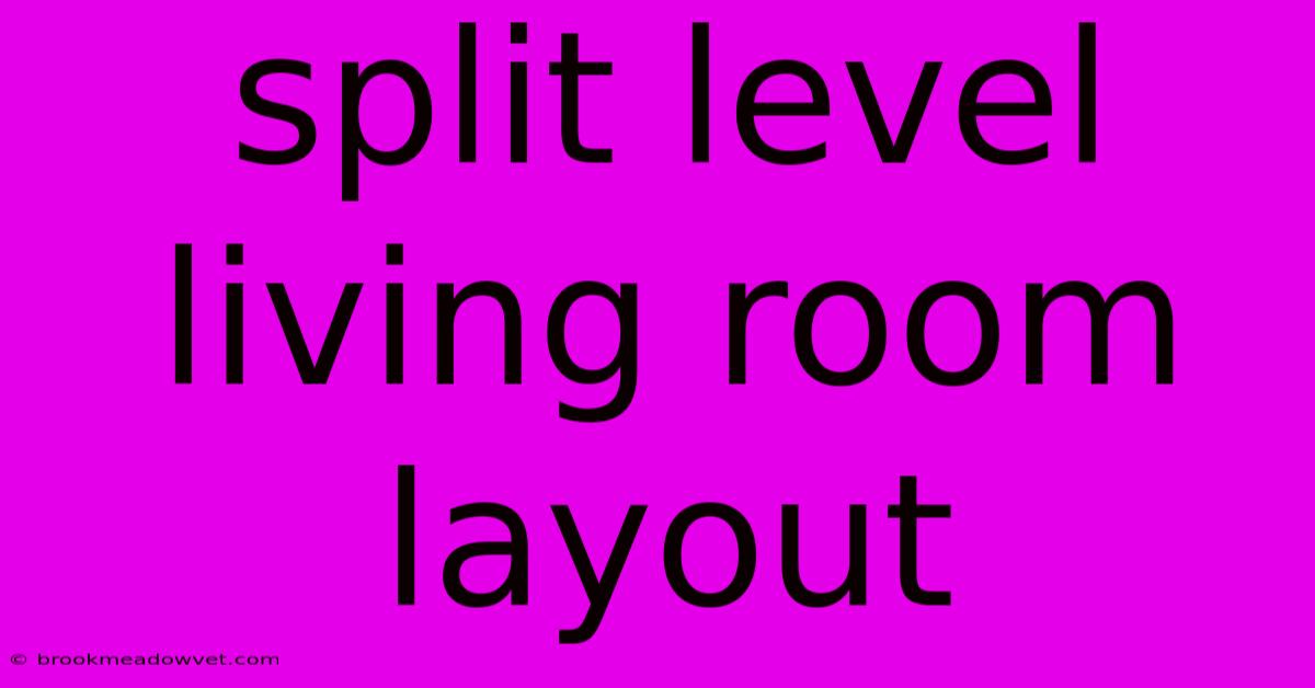 Split Level Living Room Layout