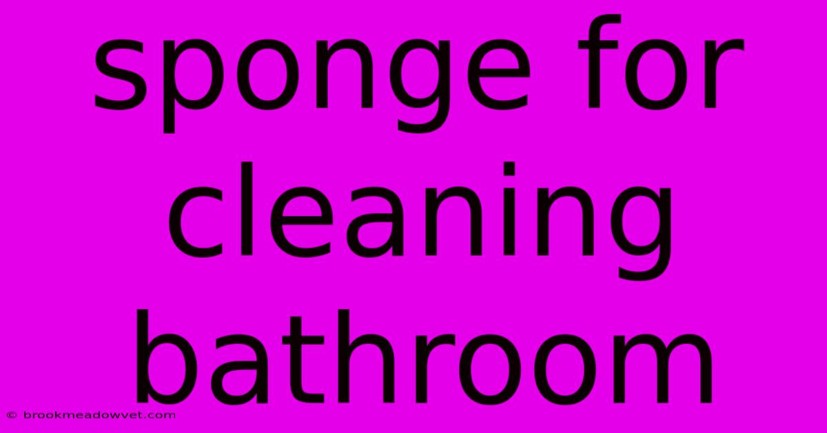 Sponge For Cleaning Bathroom