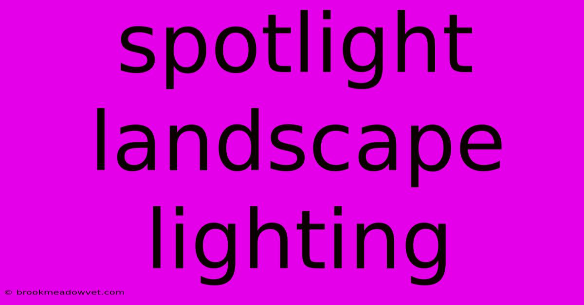 Spotlight Landscape Lighting