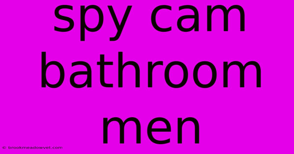 Spy Cam Bathroom Men