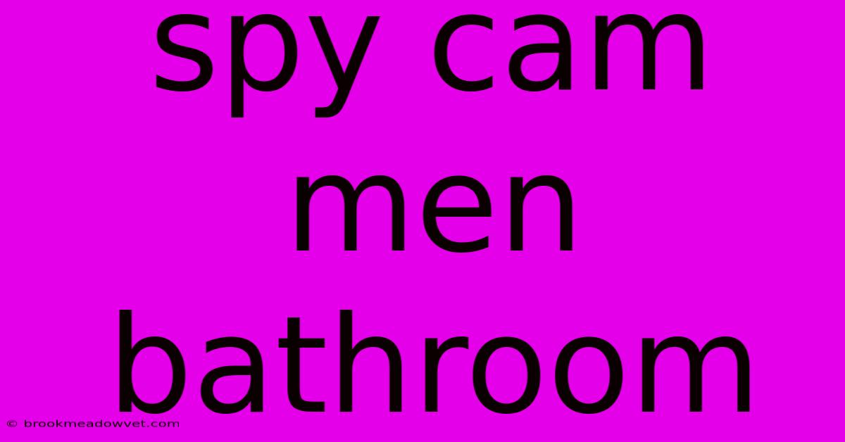 Spy Cam Men Bathroom